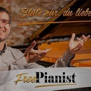 Blute Nur Bach Karaoke