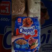 Galinhapintadinhaminijapao