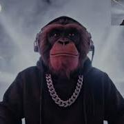 Dj Maymun Remix