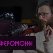 Ферамоны