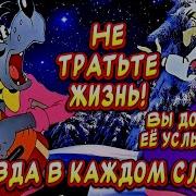 Не Тратти Жизнь