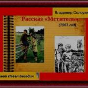 Солухин Мститель