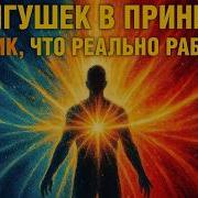 Из Лягушек В Принцы Аудиокнига