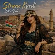 Strane Kurdi Dile Gule