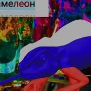 Scally Milano Хамелеон