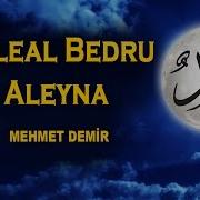 Arabca Ilahi Aleyna
