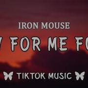 Ironmouse Cry For Me Funk