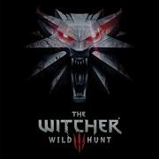 Celestisl Aen Witcher