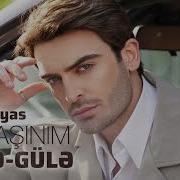 Fariz Ilyas Gule Gule