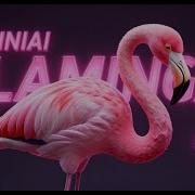 Mixerdj Roziniai Flamingai