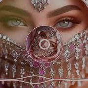 Arabcha Qo Shiqlar 2024