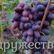 Содружество