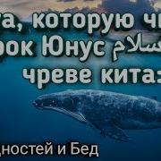 Юунус Зикр