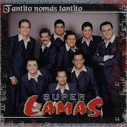 Salao