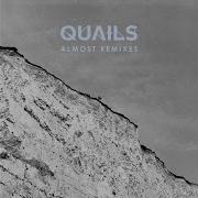 Quails Almost Acaddamy