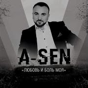 Archer A Sen Карие