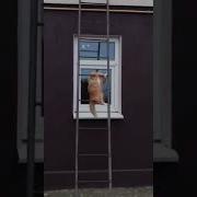 Господи Спаси И Сохрани Прикол