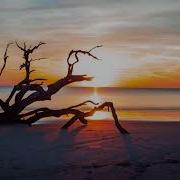 Maria Daines Dead In The Water