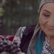 Shahzoda Alamli