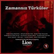 Deniz Üstü Köpürür Lion