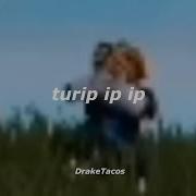 Turip Ip Ip 10 Hours