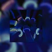Party Addict Slowed
