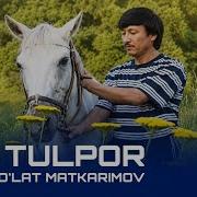 Oq Tulporim Bor Edi