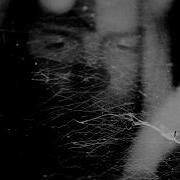 Tigercub A Black Moon