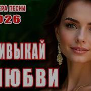 Не Привыкай К Любви Премьера Песни 2026 Глубокая Песня О Настоящих Чувствах