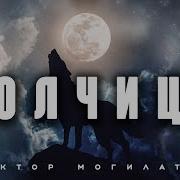 Волчица Avs