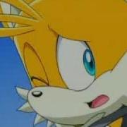 Tails Tribute Champion