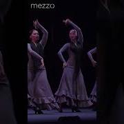 Flamenco Group Flamenco Suite