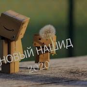 Нашиды 2020