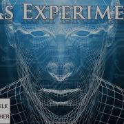 Das Experiment Hörbuch