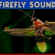 Fireflies Sound Effect