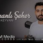 Dumanli Seher Sehnem