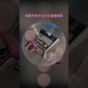 小 苮儿