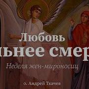 Кто На Самом Деле Правит Миром Проповедь О Женщине Андрей Ткачев