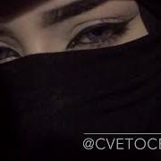 Cvetocek Kometa