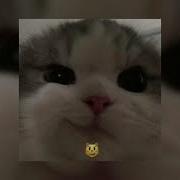 Dua Lipa Speed Up