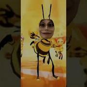 Мика Жужу