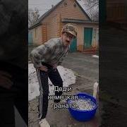 Деде Шом