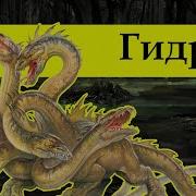 Гидра