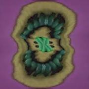 Zoopals In G Major 1870