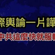 Lt视界 硬碰硬 服软