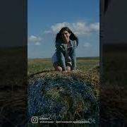 На Сеновале The Hayloft