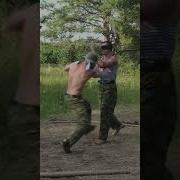 Ван Чу Вон