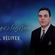 Adil Veliyev