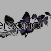 Lost Forest