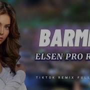 Elsen Pro Barmen